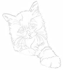 This tutorial is focused on differences between big cats. Perform Akustik Instreamset Drawing Tutorial Asp Cat How To Draw A Simple Cat Easy Drawing Guides