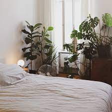 best plants for bedroom air purifiers