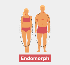 endomorph body type characteristics