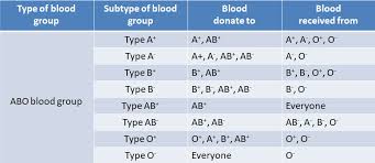 Blood Group And Their Different Type Abo Blood Group Rhesus