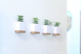 modern wall planter set small indoor