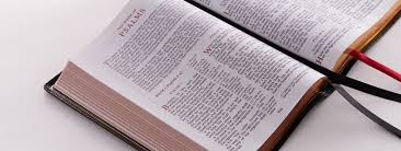 Why Is Bible Paper Important Thomas Nelson Bibles