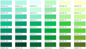 Lularoe Color Chart Green Bedowntowndaytona Com