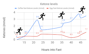 A 48 Hours Of Self Experiment Tracking Ketone And Glucose