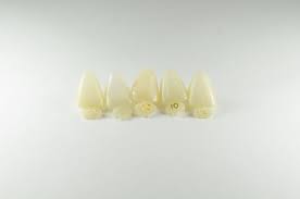 Amazon Com Dental Polycarbonate Temporary Crowns 10 Upper