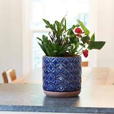 Blue Ceramic Indoor Pot