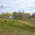 Anaconda Hills Golf Course - Black Eagle, MT