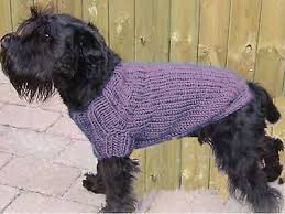 Knitting Pattern Easy Dog Coat Fits