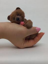 351 cute teddy bears on tedsby