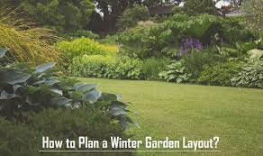 How To Plan A Winter Garden Layout