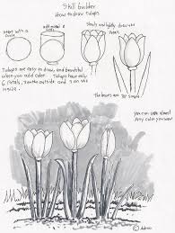 Flowers are a great starting point for beginners looking for easy sketches to draw. Drawing Lessons Easy Beginner Step By Step Drawing Ideas Drawing Happy Emotion
