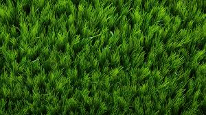 Synthetic Green Grass Texture