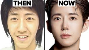 korean actors who ruined their face