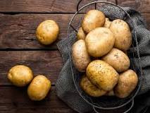 What is 100 grams of potatoes?