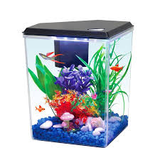 2 5 gallon aquarium