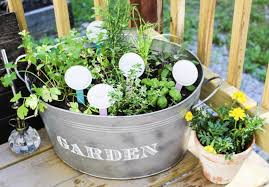 Plant An Herb Garden In A Galvanized Bucket