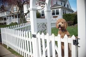 White Picket Fences Gate Images Stock