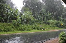 rain showers are common in the village