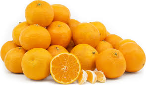 tangerines cutie information and facts