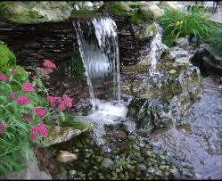 small pond waterfall photos ideas