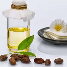 Jojoba oil hot oil treatment is an excellent remedy to treat dry and damaged hair. Jojoba Oil Benefits For Face Hair Body Plus Uses Side Effects Dr Axe
