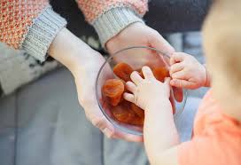 Dry Fruits For Babies Health Benefits And Recipes