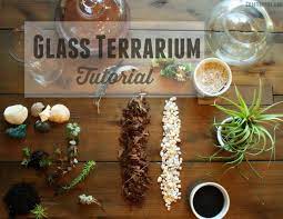 How To Make A Glass Terrarium The