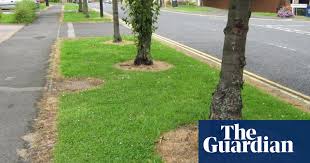 Now we're ready to answer the right question. Glyphosate Is A Probably Carcinogenic Herbicide Why Do Cities Still Use It Green Space The Guardian