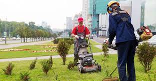 Homeadvisor is the simplest way to find and book lawn aeration services near you. The 10 Best Lawn Care Services Near Me With Free Estimates