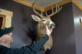 You Can Now Hang Your Deer Mounts In