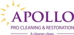apollo pro cleaning restoration wind