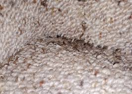 are you finding holes in your carpet