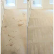 metro carpet cleaning solutions 15