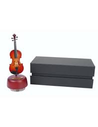 violin box