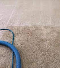 carpet cleaning adelaide sapphire clean
