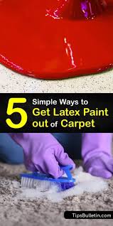 get latex paint out of carpet