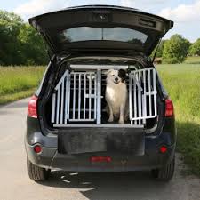 We can provide service on select routes in florida and we also contract with highly rated ground transporters so we can provide you with the best service available for your route at the. What Do I Need To Become A Pet Transporter Citizenshipper