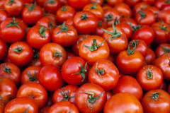 Are tomatoes OK for diabetics?