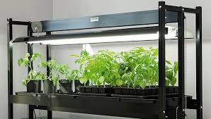 Do plants need special light to grow. How To Choose An Led Grow Light Gardener S Supply