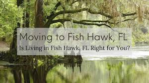 moving to fish hawk fl 2023 guide