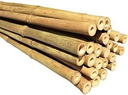 dlh western natural bamboo poles eco