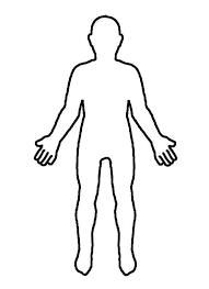 Medical Human Body Outline Drawing Free Download Best