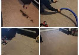 humble carpet cleaning vipertech