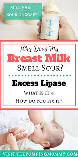 excess lipase and scalding tmilk
