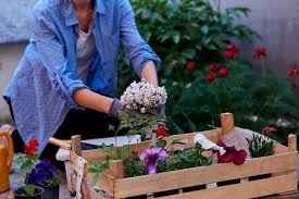 Woman Gardener Holds Wooden Box With