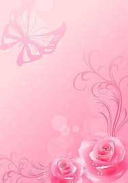 pink flower wallpaper 4k aesthetic new