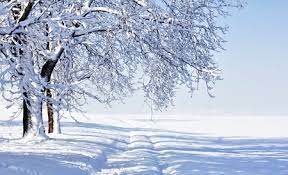 寒い冬の朝は、新鮮な雪のある風景します。 の写真素材・画像素材. Image 35125723.