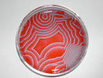 Image result for Belousov-Zhabotinsky