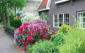 Цветната градина пред къщата трябва да съответства на общия стил на сградите и градината. Kak Da Podredim Gradina Pred Kshata Ideya I Podredba Na Gradina Pred Kshata 2019 2020