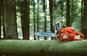 Best Chainsaw For The Money Based On Your Application Needs